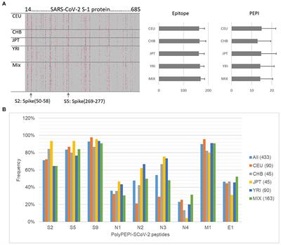 A Peptide Vaccine Candidate Tailored to Individuals' Genetics Mimics the Multi-Targeted T Cell Immunity of COVID-19 Convalescent Subjects